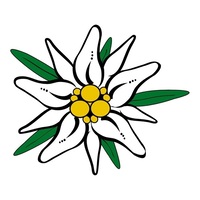 Avatar de Usuario