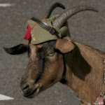Avatar de Usuario